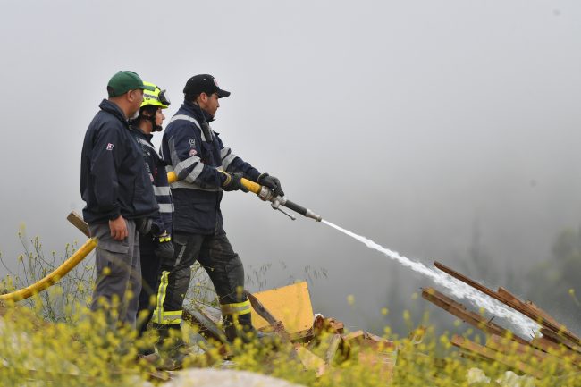 Incendio forestal en Valparaíso mantiene Alerta Roja y obliga a evacuar sector La Isla
