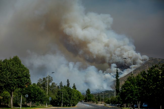 Directora de Senapred por incendio en Las Condes: “Con los recursos desplegados, esperamos contenerlo hoy y ojalá extinguirlo”