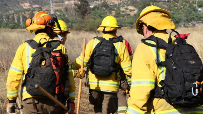 Contraloría revela debilidades en la gestión de incendios forestales en La Araucanía por parte de Conaf