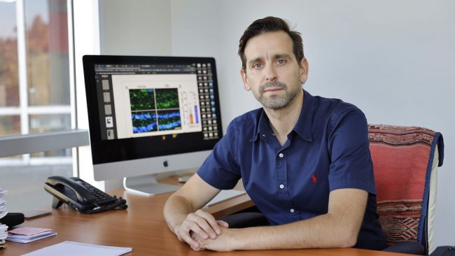 Felipe Court plantea que la educación disminuye el deterioro cognitivo y el riesgo de demencia en un Chile que envejece aceleradamente