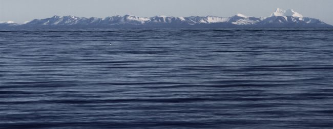 Cables submarinos en Chile: esta sería la razón de la revocación de visas a funcionarios chilenos