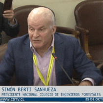 Simón Berti (Colegio de Ingenieros Forestales) por ley de incendios: 