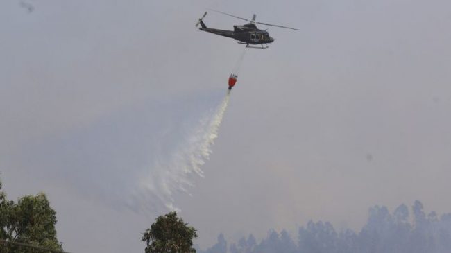 Sigue el combate de incendio forestal en Vichuquén: hay 3 viviendas afectadas y 380 hectáreas arrasadas