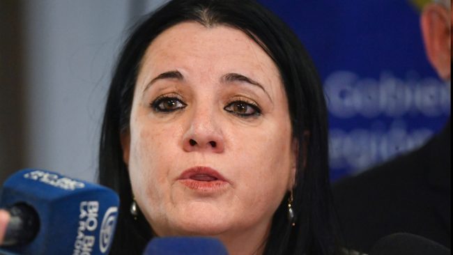 "Actué dentro de mis competencias": Steinert defiende en la Cámara solicitud de información a la PDI