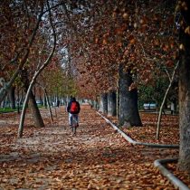 Otoño 2026 en Chile: cuándo comienza y cómo preparar la casa para la nueva estación