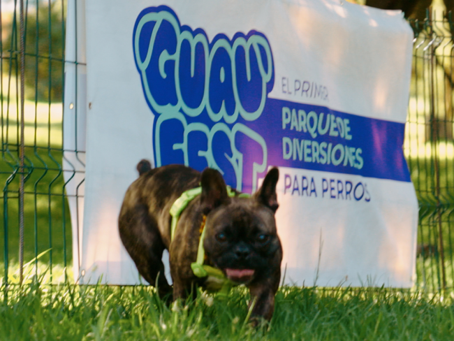 GuauFest regresa a Santiago con un parque de diversiones único para perros