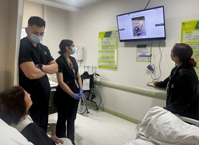 Software chileno mejora tratamiento del delirium en pacientes críticos