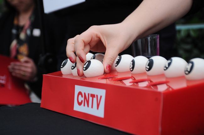 Presidente Kast designa a Eliana Rozas como nueva presidenta del CNTV