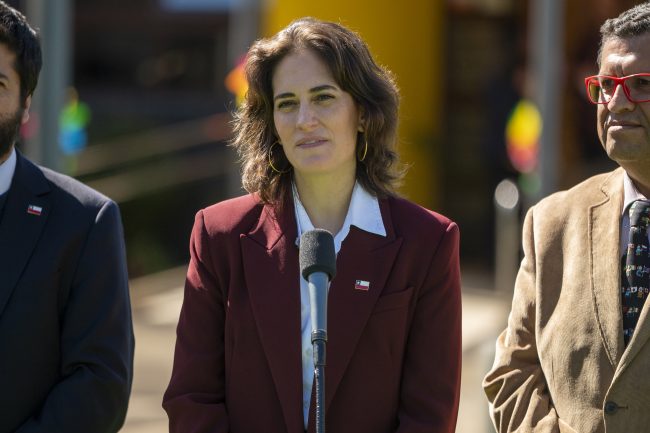 Gobierno solicita renuncias en Senama e Injuv para reordenar equipos