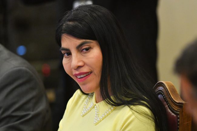 Ministra Lincolao por estudiantes detenidos tras agresión: "Este caso es un precedente"