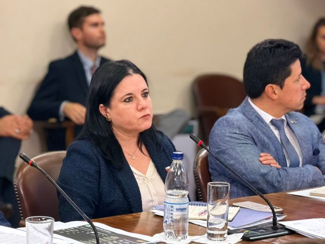 Contraloría da 10 días a Steinert y Cerna para aclarar remoción de exjefa de Inteligencia