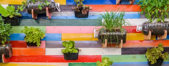 Huertos urbanos verticales: alimentando ciudades desde los rascacielos