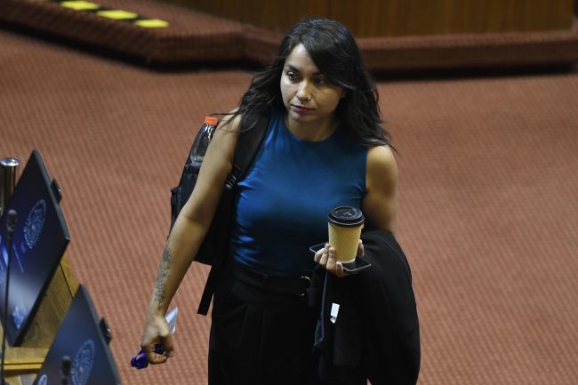 Constanza Schönhaut pide frenar la velocidad del proyecto y abrir diálogo: “Gobierno, ministro Quiroz, bájele la patita al acelerador”