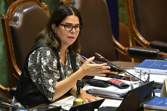 Diputada Ossandón afirma que Kast atendió las críticas internas: "El Presidente esuchó y escuchó bien"