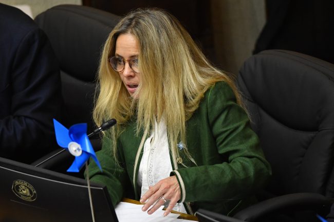 Senado abre debate por proyecto que busca castigar denuncias falsas en causas familiares y sexuales