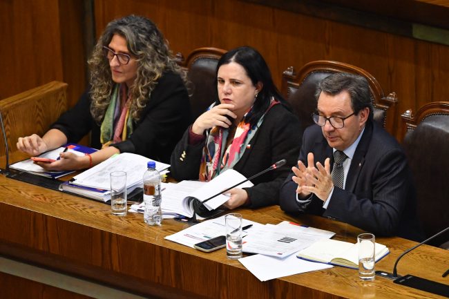 Ministra Steinert admite déficit comunicacional y defiende plan de seguridad ante críticas por falta de estrategia