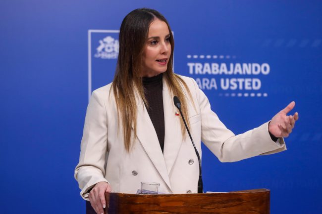 Ministra Sedini sale en defensa de Steinert y acusa a la oposición de “hacer un gallito político” con la seguridad