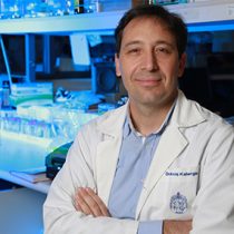 Inmunólogo Alexis Kalergis por brote de hantavirus en crucero: “Lo más probable es que el contagio hubiese ocurrido en tierra”