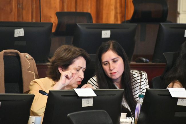 Marisol Peña advierte que fallo del TC sobre Escuelas Protegidas podría afectar al Registro de Vándalos