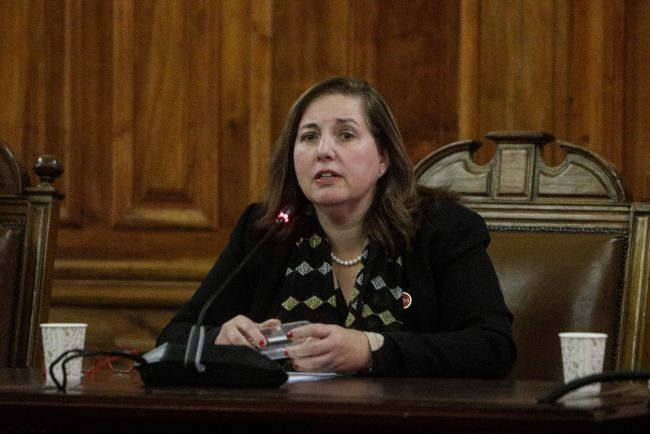 Vodanovic valora tono de la Cuenta Pública: "Noto que hay un llamado a preocuparse por Chile, con un menor nivel de agresividad"