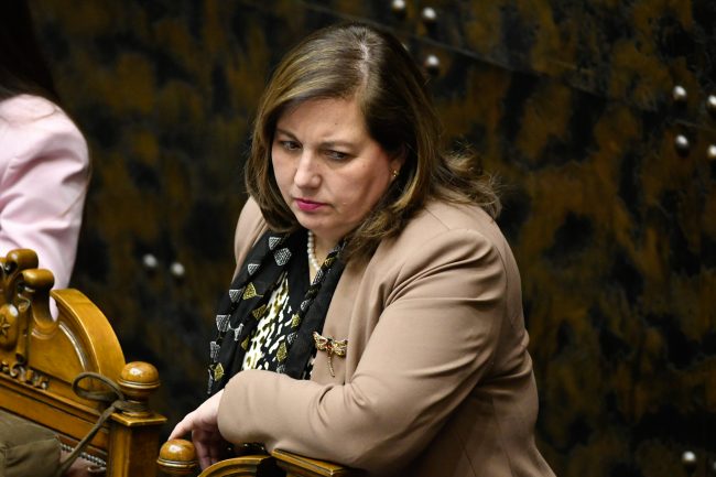 Senadora Vodanovic por megareforma: "La preocupación del gobierno era aprobarla como fuera, pero sin introducirle modificaciones"