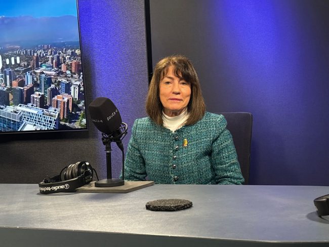 Rectora Mizala y el vínculo con Azul Azul: “Todas las personas en la universidad pensamos que hay que revisar ese convenio”
