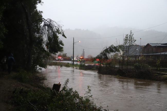 Alerta Roja en Arauco por riesgo de desborde del río Pichilo