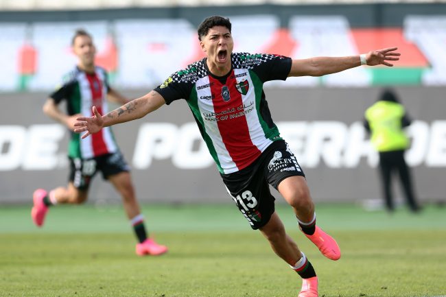 Palestino vs Santa Cruz: dónde ver en VIVO y online la fecha 6 de la Copa Chile