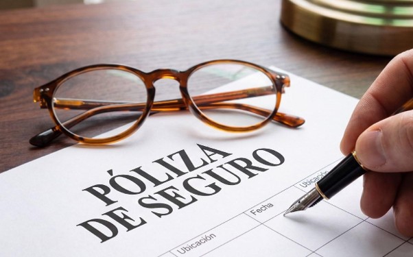 Seguros en Chile: Guía completa para entender lo básico de estas pólizas