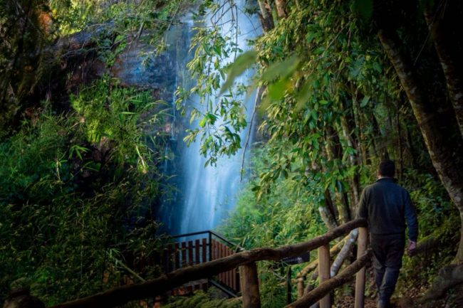 ARAUCO pone en valor Cascada Hueima: primera certificación internacional como patrimonio cultural mapuche