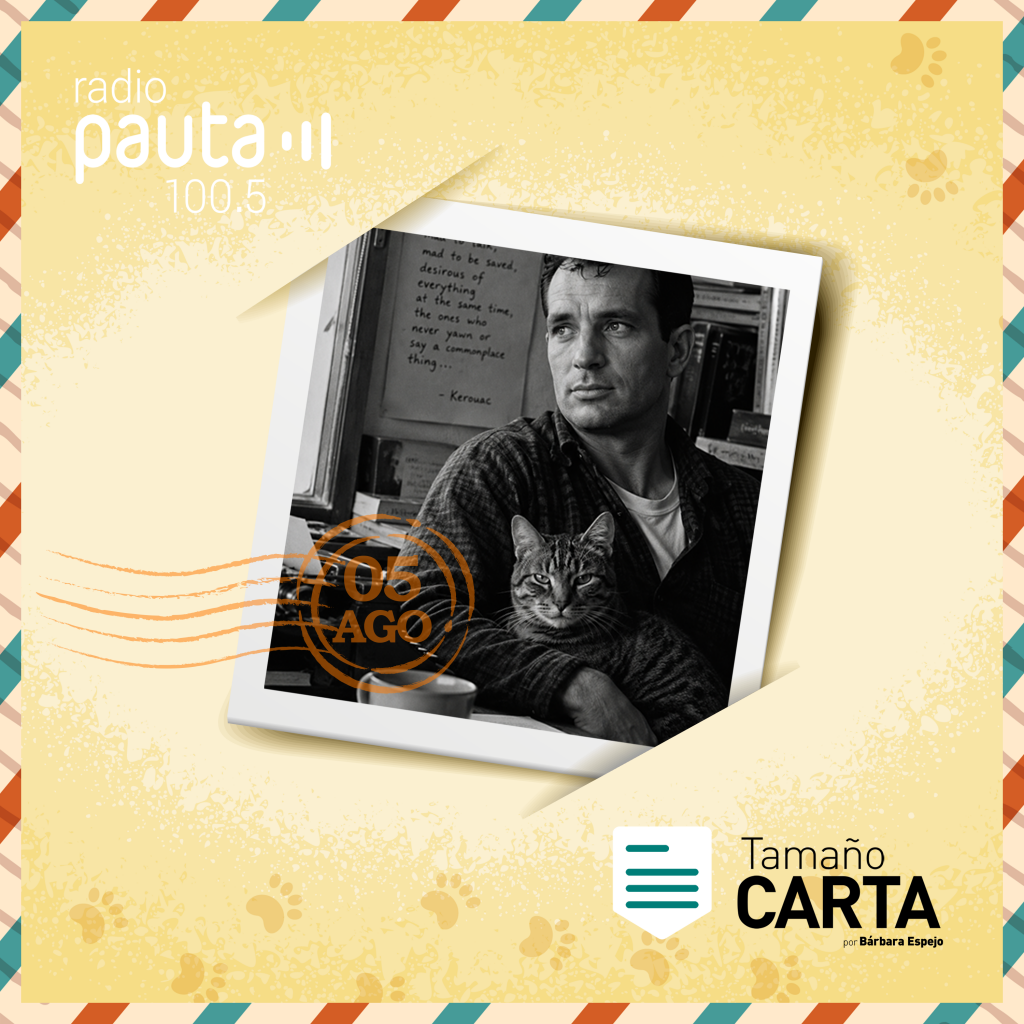 Imagen principal