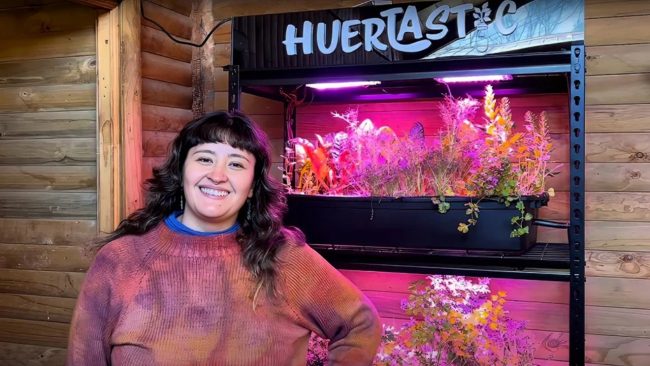 Huertastic: el huerto vertical automatizado que busca llevar el cultivo de alimentos a casas y departamentos