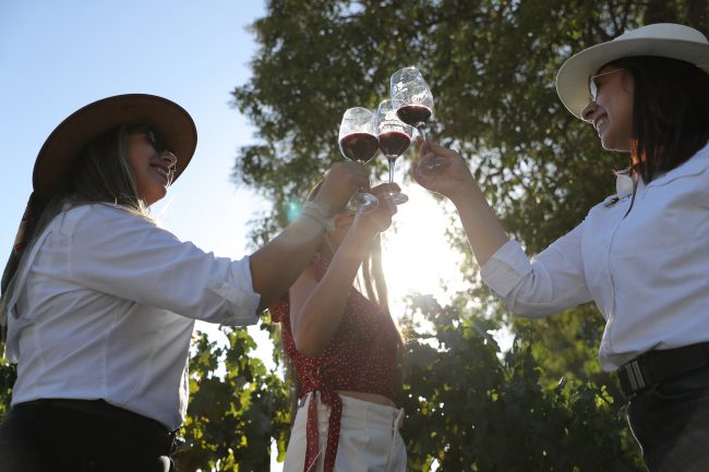 Santiago será la capital mundial del vino: Chile albergará por primera vez los premios a los 50 mejores viñedos del planeta