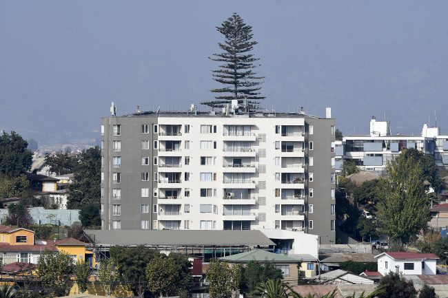 Ley Valentín: quiénes deben instalar mallas u otras medidas de seguridad en los balcones de los departamentos