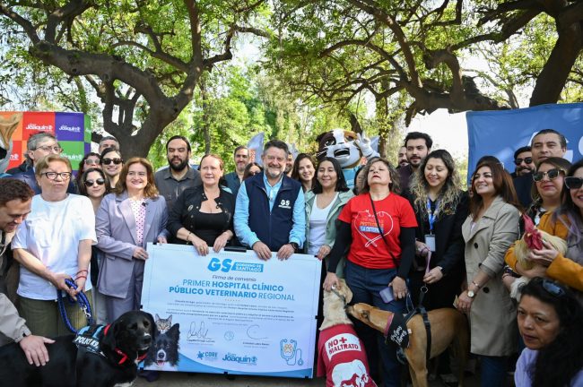 San Joaquín tendrá un hospital veterinario público: cómo acceder y quiénes recibirán atención gratuita