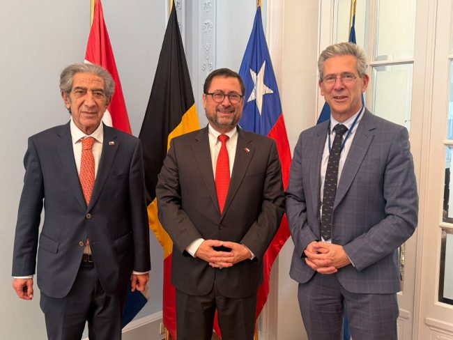 Chile busca reforzar la cooperación con la Unión Europea ante emergencias