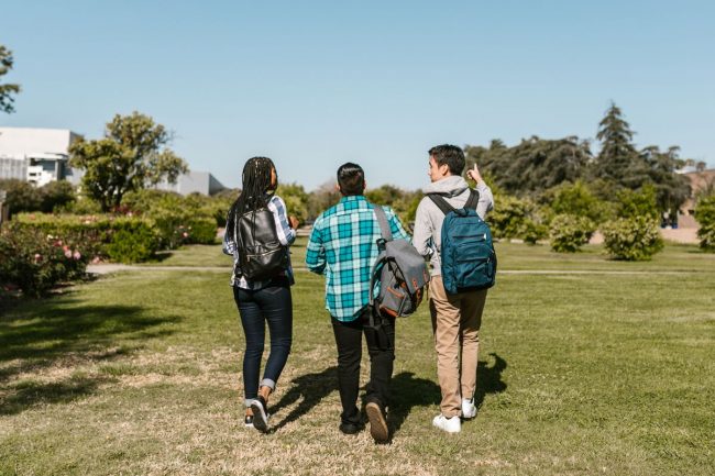 Universidad Viña del Mar: educación superior con impacto regional
