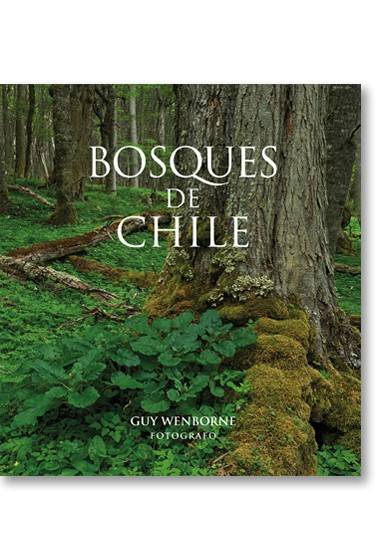 Bosque de Chile